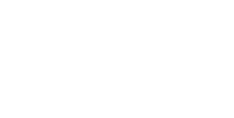 SWIX-Bluegem